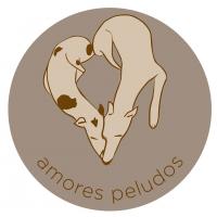 Amores Peludos