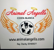 Animal Angells