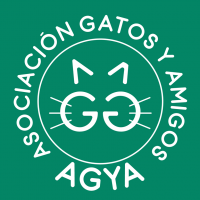 Asociacin Gatos y Amigos