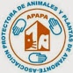 ASOCIACION PROTECTORA DE ANIMALES Y PLANTAS DE  AYAMONTE, APAPA