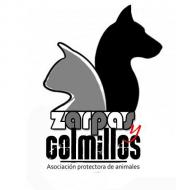 Asociacin protectora de animales Zarpas y Colmillos