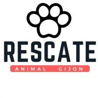 Asociacin Rescate Animal Gijon