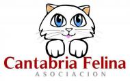 Cantabria Felina