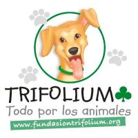 Fundacin Trifolium