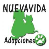 Nuevavida Adopciones