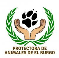 Protectora de animales El Burgo