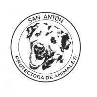 Protectora de animales San Antn